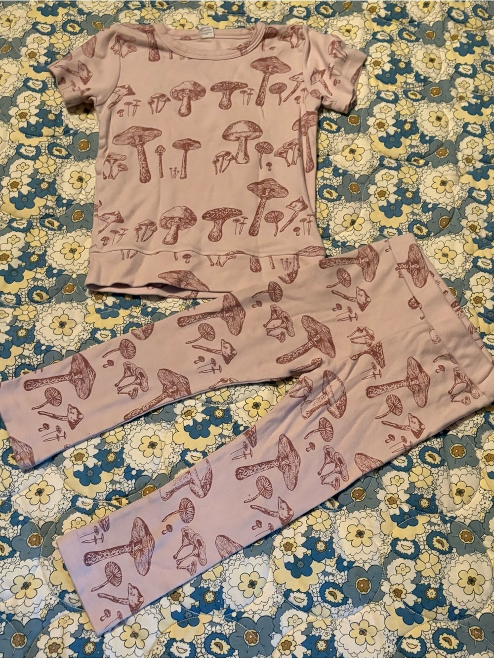kate quinn kids size 4t wild mushrooms outfit set READ